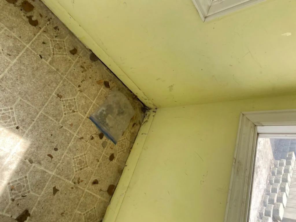Playhouse restoration — floor and corner damage